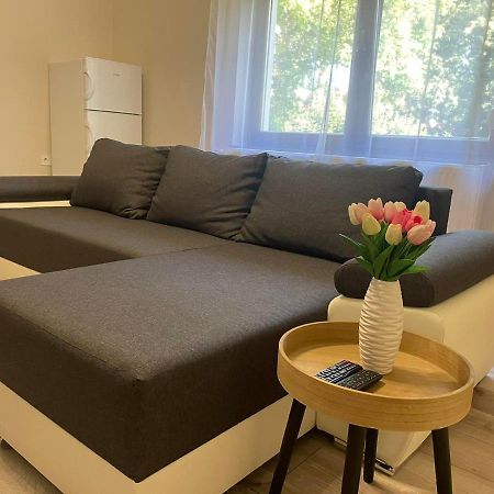 Tulipan Apartman Makó المظهر الخارجي الصورة