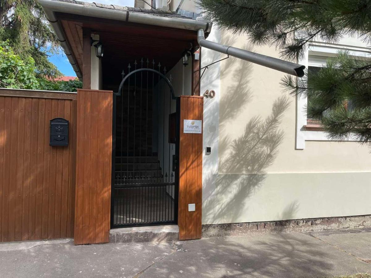Tulipan Apartman Makó المظهر الخارجي الصورة